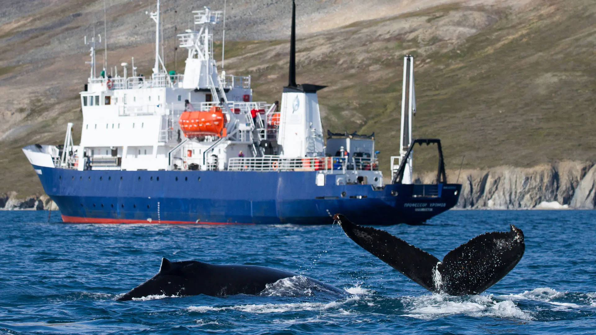 Морские Круизы по Дальнему Востоку