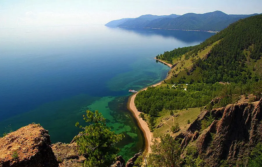 Большие коты
