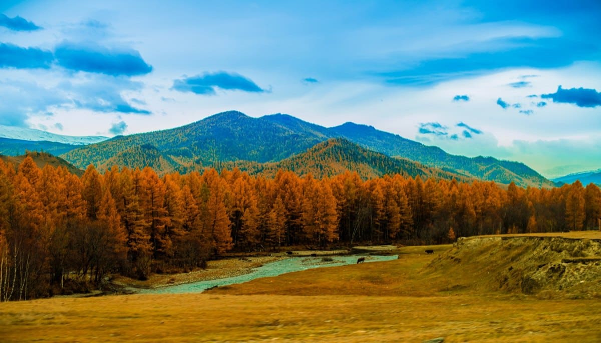 Каракольская долина