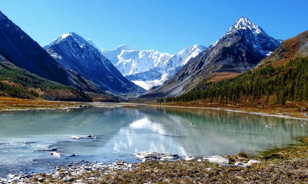 Белуха